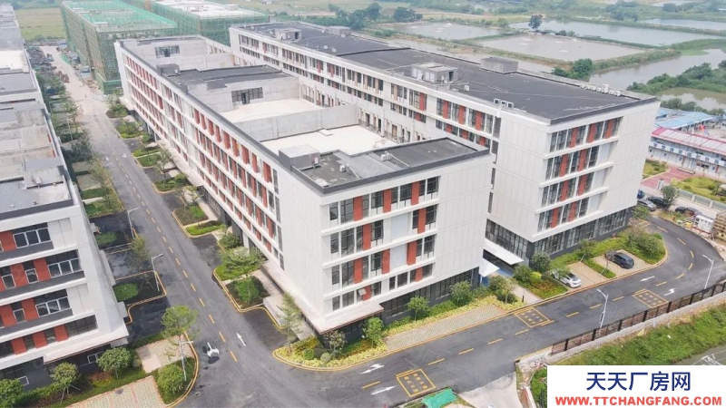 (出售) 佛山三水白坭2000平小独栋全新厂房出售 50年产权 首付3成