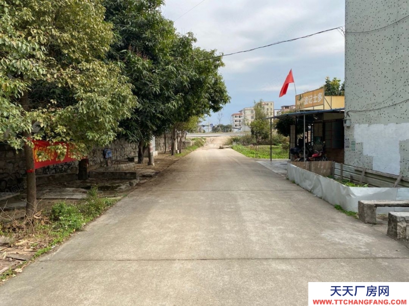 (出售) 佛山三水2850万占地近20亩国有建设有地还有38年出租中