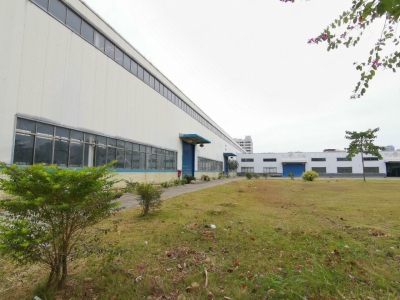 (出售) 佛山高明荷城15000平国有双证红本独门独院厂房出售图2