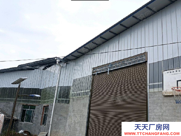 株洲市芦淞区可进9.6米车向金塘房东急租自建标准厂房仓库优价出租