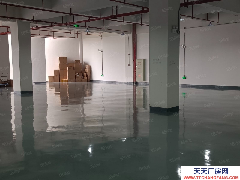 (出租) 佛山顺德小面积 精装修650平 市政排污配套顺德区伦教镇大型工业园区