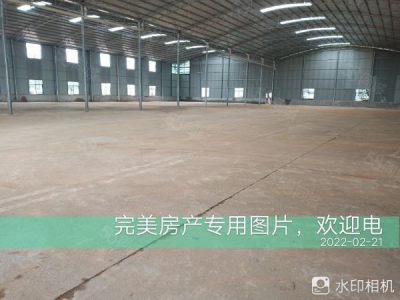 株洲市芦淞区新建仓库和厂房优价出租图3