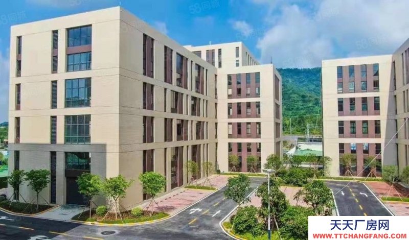 (出售) 佛山顺德准现楼厂房买三得六 带50年红本 首付2成起