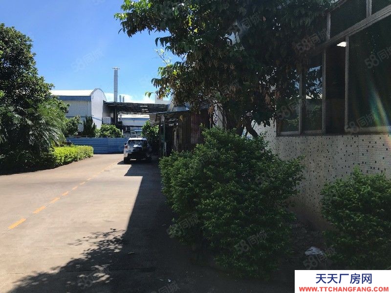 (出售) 佛山顺德笋大良凤翔出售独门独院6807方占地厂房,三边路,可重新报建