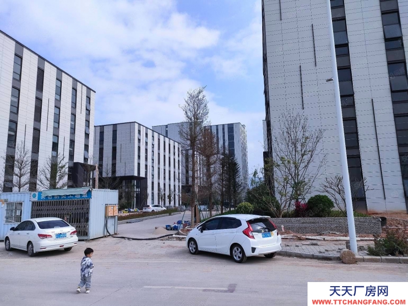 (出售) 佛山顺德2700方小面积3.5层独栋，全新国有工业用地送电梯可办环评