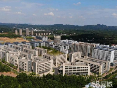 株洲市芦淞区白关服饰城二期厂房招商图1