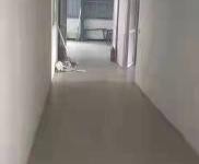 (出售) 黄冈黄州诚心出售该厂房加土地