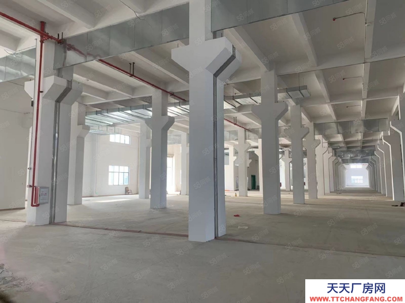 (出租) 佛山南海区里水工业区5万平方标准厂房仓库出租可办环评