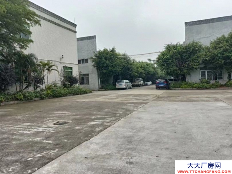 (出租) 佛山南海天然气单一层独院厂房出租高速路口旁配套齐全不限行业