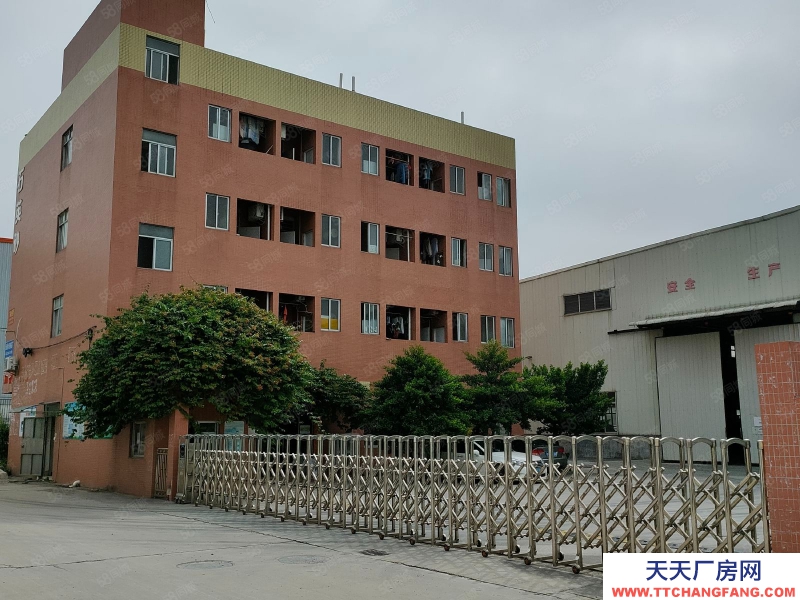 (出租) 佛山南海丹灶低价厂房出租或转让