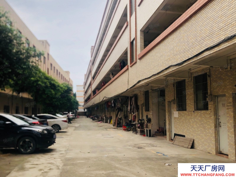 (出租) 佛山禅城20万方工业园业主直租，厂房仓库都可