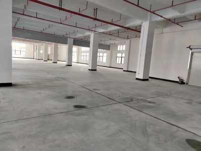 (出租) 佛山禅城张槎7000方布匹毛绒纺织厂房仓库出租可分租位置好带证件图3