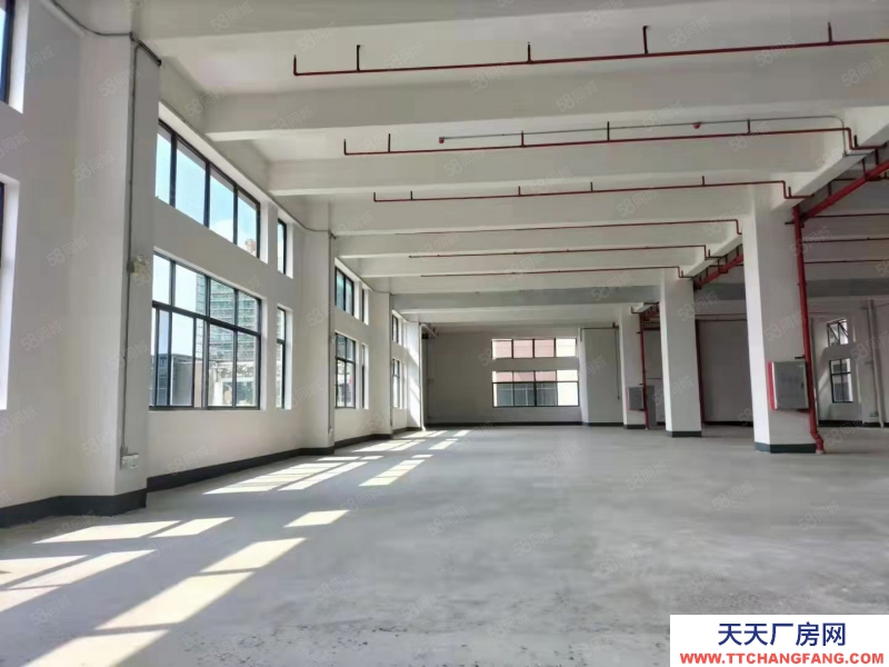 (出租) 佛山禅城张槎7000方布匹毛绒纺织厂房仓库出租可分租位置好带证件