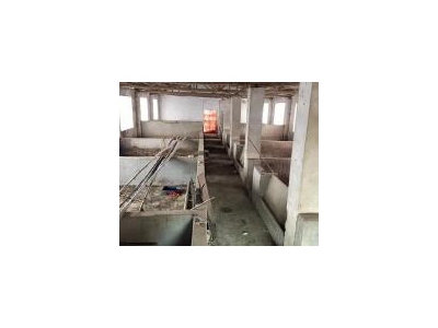 (出租) 黄冈罗田在河铺镇白鹤湾村（自家建的）图3