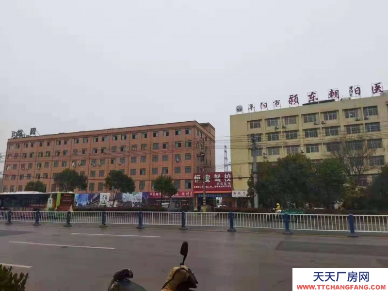 (出售) 阜阳颍东涡阳北路598号，地址城效中学对面路东