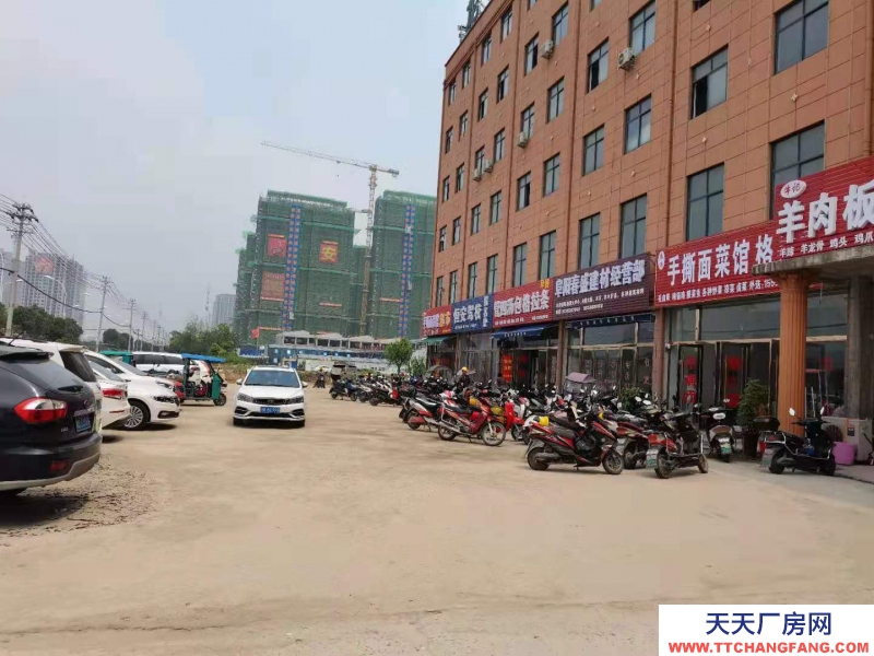 (出售) 阜阳颍东涡阳北路598号，地址城效中学对面路东
