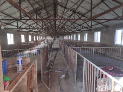 (出售) 阜阳颍上养殖场，可以做厂房。三相电养殖用电，电价便宜，路好图2