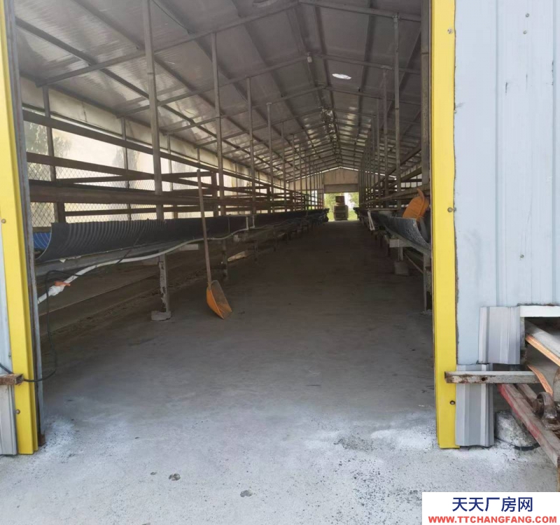 (出售) 阜阳颍上大型养羊场，手续齐全