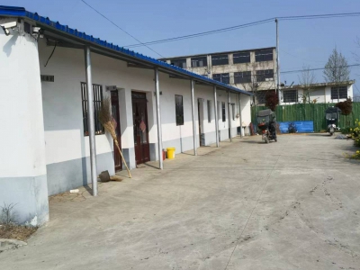 (出售) 阜阳颍上大型养羊场，手续齐全图2