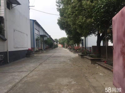 (出售) 阜阳阜南酒厂出售，各项设施完善图1
