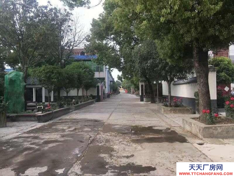 (出售) 阜阳阜南酒厂出售，各项设施完善