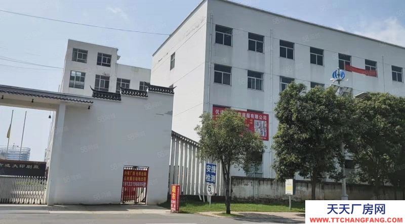(出租) 阜阳颍泉万达附近 临沂商城 老板直租 不收中介费 价格便宜
