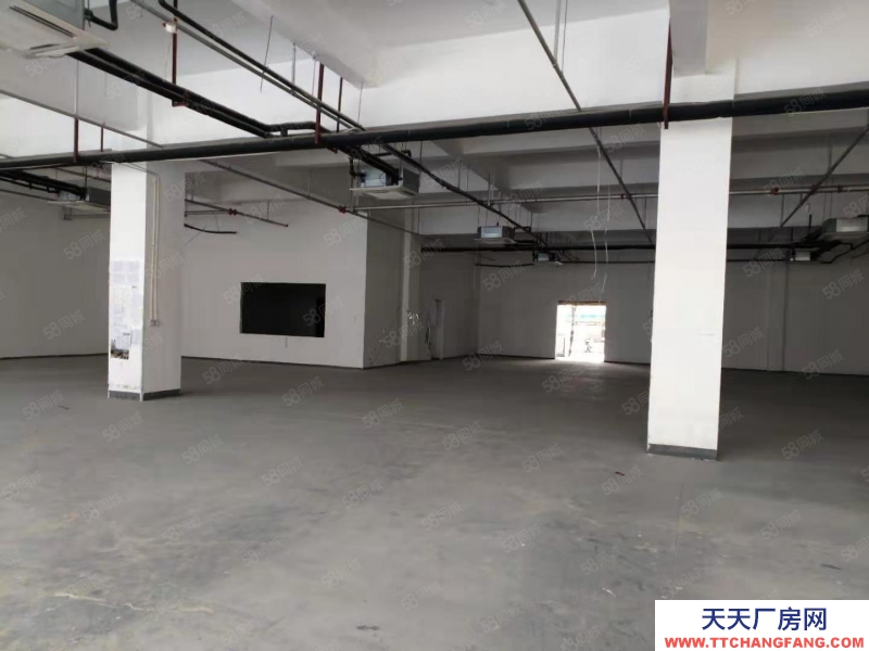 (出租)阜阳颍泉 2001000平的大通道厂房 可进大车