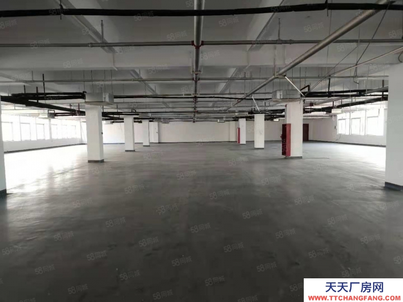 (出租)阜阳颍泉 2001000平的大通道厂房 可进大车