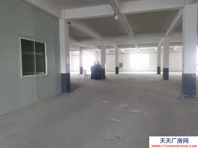 (出租) 阜阳太和团结东路两栋厂房独门独院