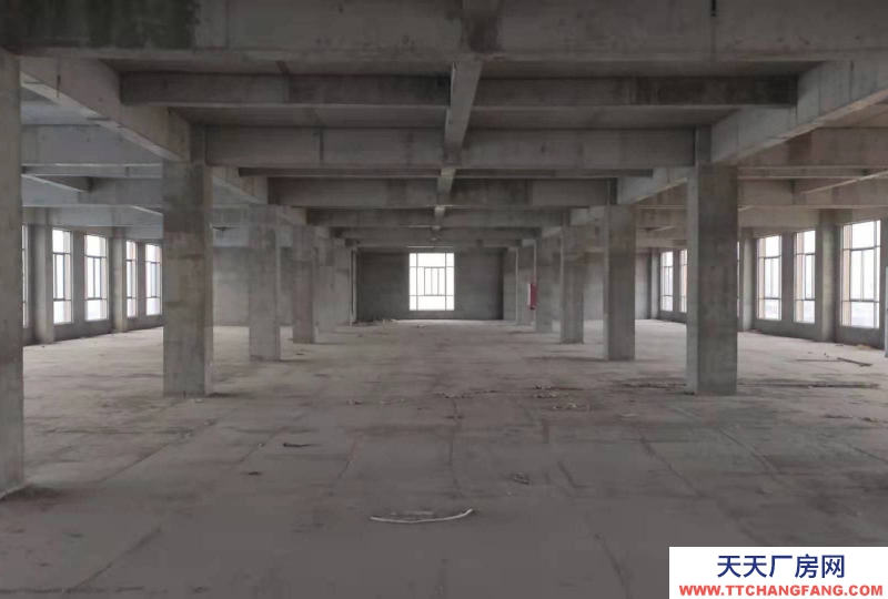 (出租)阜阳临泉五六层对外出租，可当仓库，厂房；培训机构；写字楼