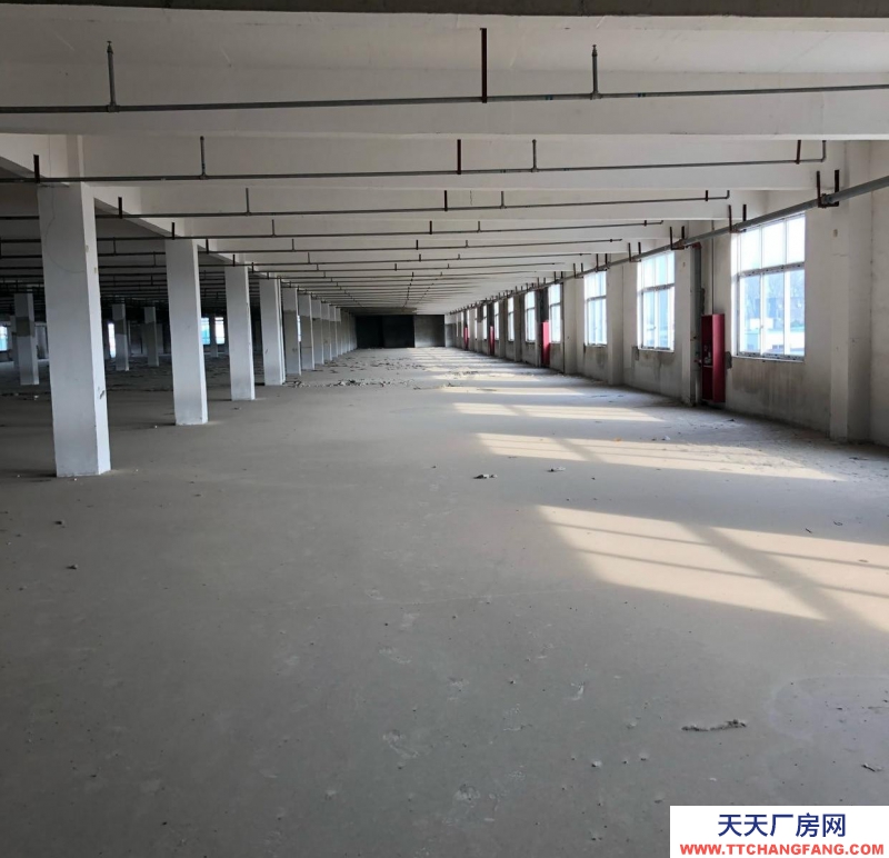(出租) 阜阳界首塑料造粒粉碎注塑成品