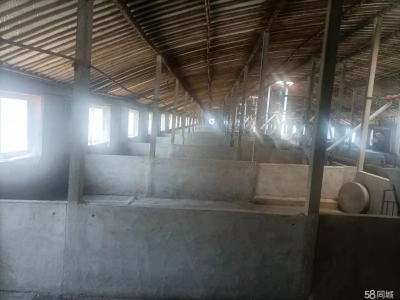 牟平两证齐全，厂房，住宅，设备图1