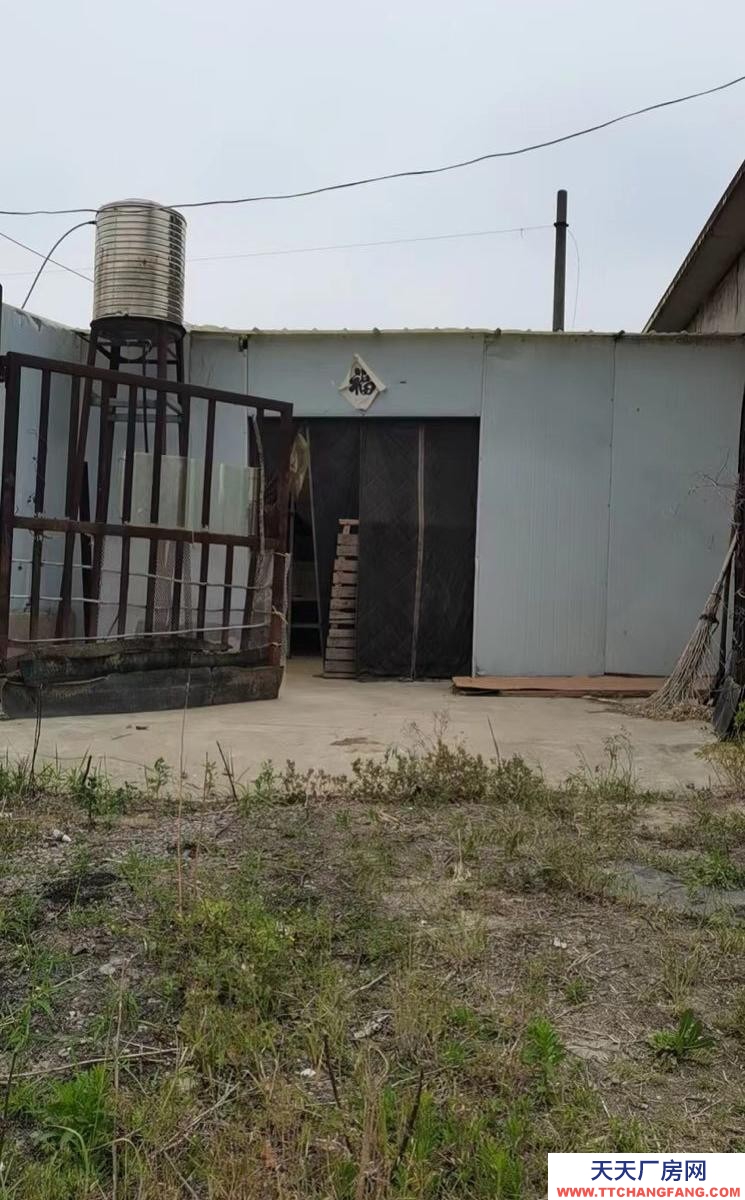 (出租)淮南谢家集 三相电、周边无住家，适合办小厂。4间平房+150方大棚
