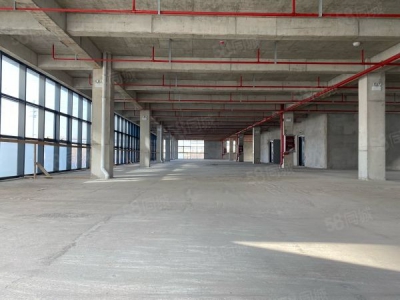 苏州市相城区单层钢结构和多层框架厂房，1200平起可定制，企业补贴图3