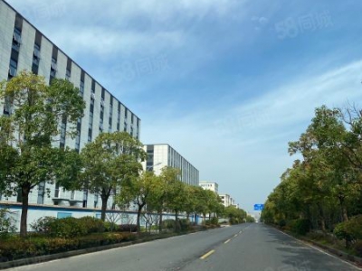 苏州市相城区单层钢结构和多层框架厂房，1200平起可定制，企业补贴图1