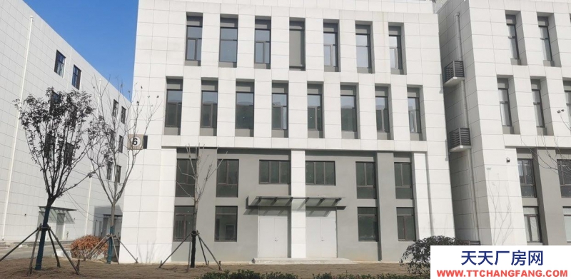 莱山单价六千的商务办公别墅