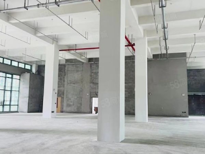 苏州市相城区单层！机械厂房出售！总价低，全新国土50年产权，重型机械可用图6