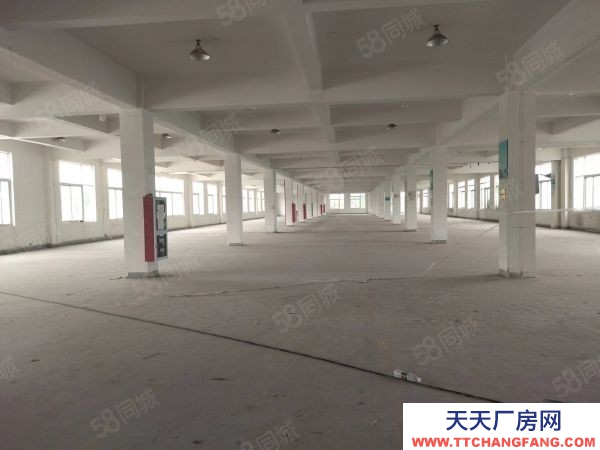 苏州市相城区（太平独栋）2400平仓库，价格便宜