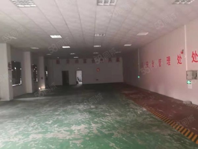 株洲市石峰区云龙区业主自建单层厂房1200平米出租图4