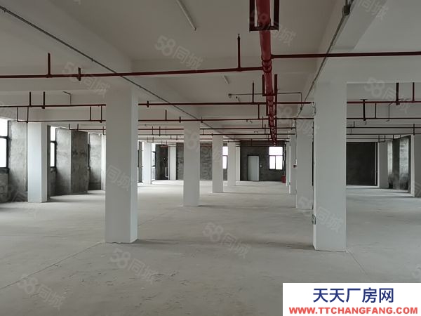 株洲市石峰区清水塘全新标准厂房全球招商（可租可售）享受税收返还奖补