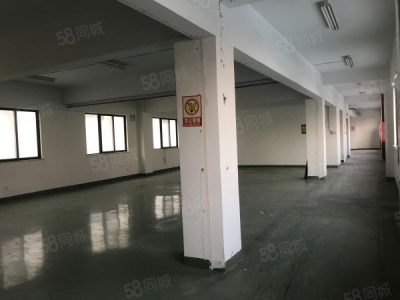 苏州市吴中区太湖新城仓库1100平起租，有货梯图2