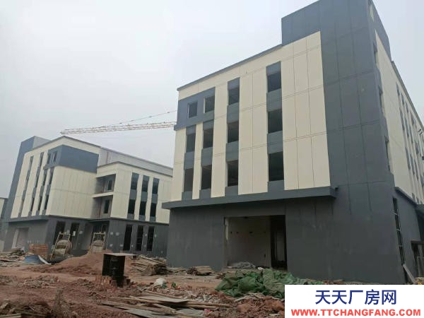 株洲市石峰区出售云龙示范区双拼多层厂房