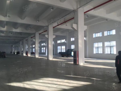 苏州市吴中区标准仓库，苏州吴中好地段可分租1万，2万，5万仓库出租图4
