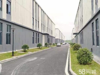株洲市石峰区厂房周正，光线充足，即买即交房图3