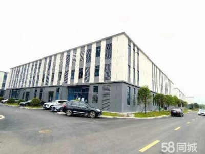 株洲市石峰区厂房周正，光线充足，即买即交房图4