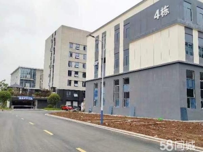 株洲市石峰区一手开发商房源，是现房、现房图2