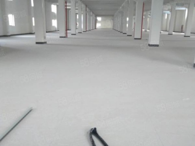 苏州市吴中区 横泾 独栋 3600方 全新厂房图1