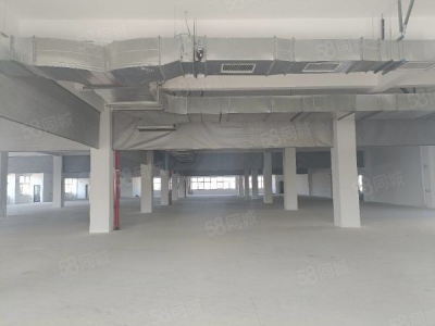 苏州市吴中区 横泾 独栋 3600方 全新厂房图3