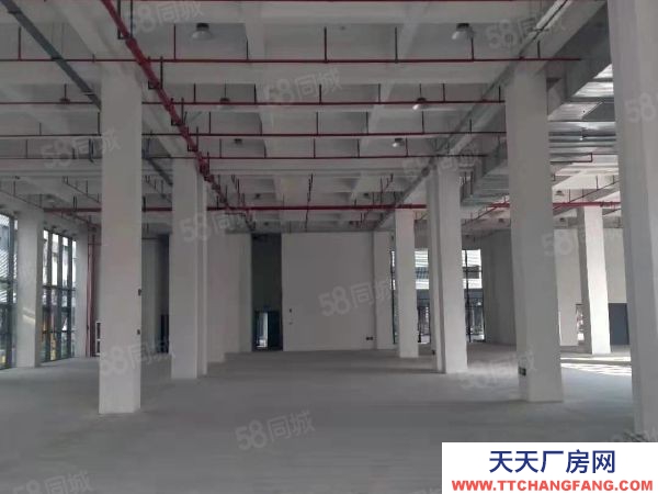 苏州市吴中区 横泾 独栋 3600方 全新厂房