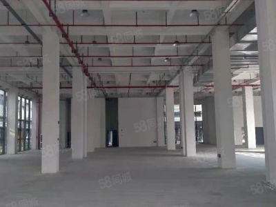 苏州市吴中区 横泾 独栋 3600方 全新厂房图2